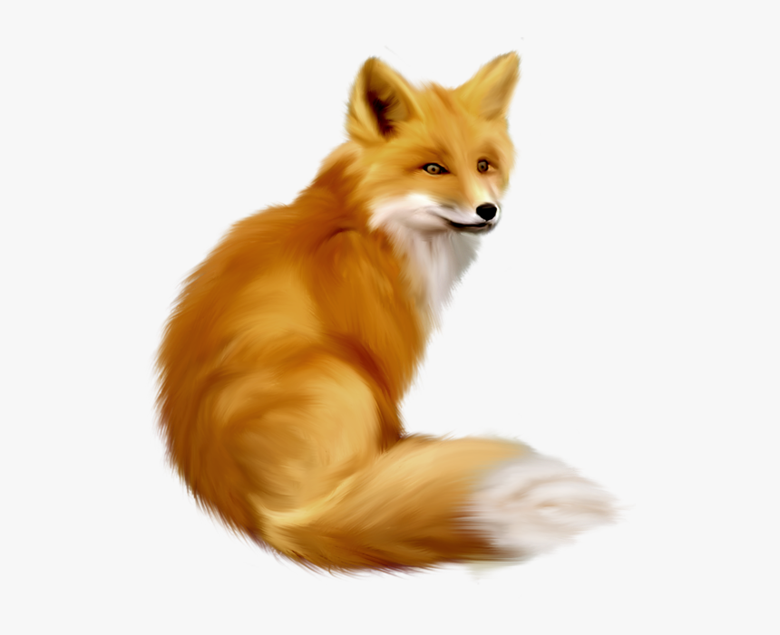 Gallery Free Clipart Picture - Fox Clipart Png, Transparent Png