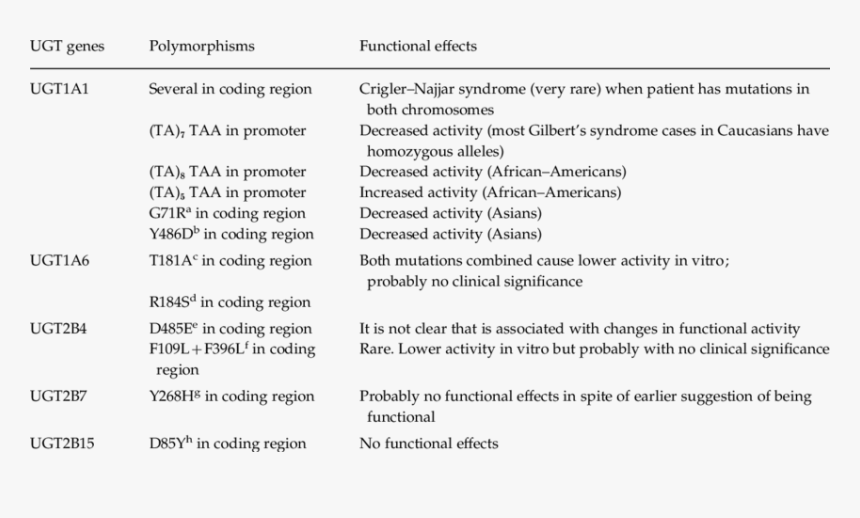 Screenshot, HD Png Download