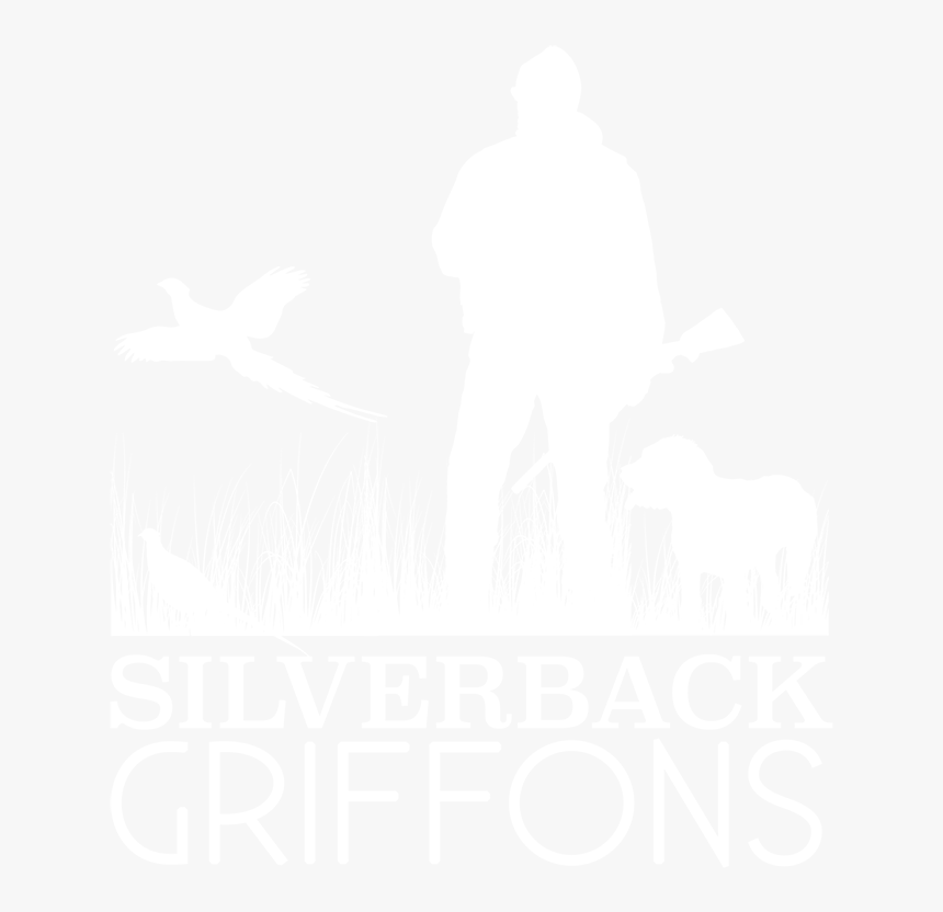 Hunting Dogs Wire Haired Pointing Griffons Griffs Gun - Poster, HD Png Download