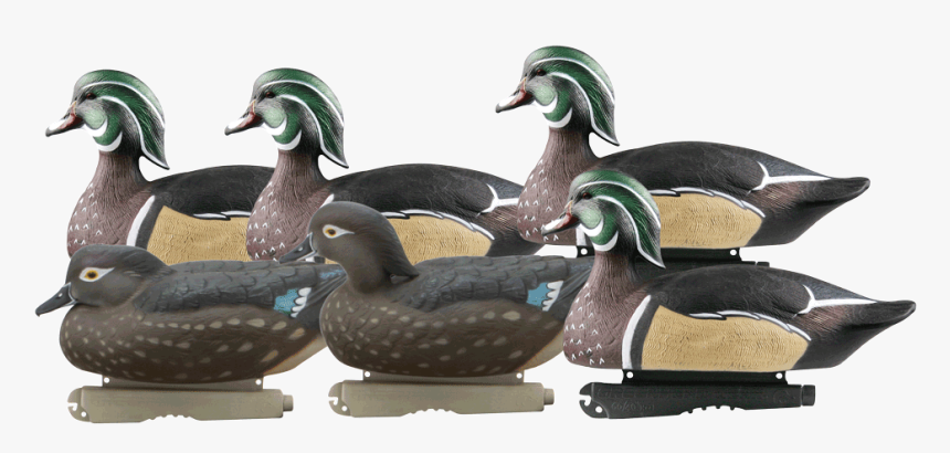 73035 Life Size Wood Ducks Famstudio5, HD Png Download