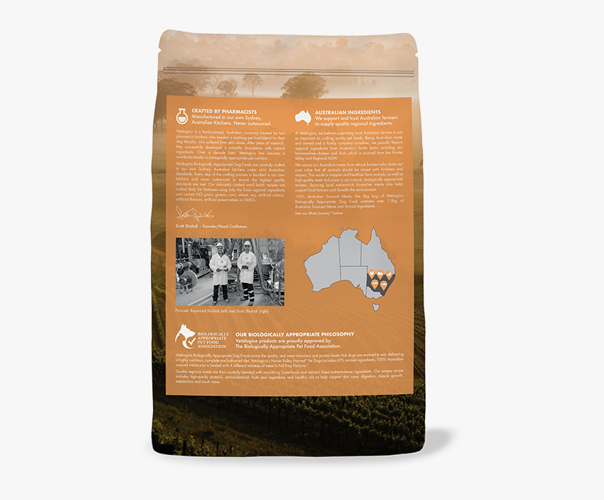 Guinea Pig, HD Png Download