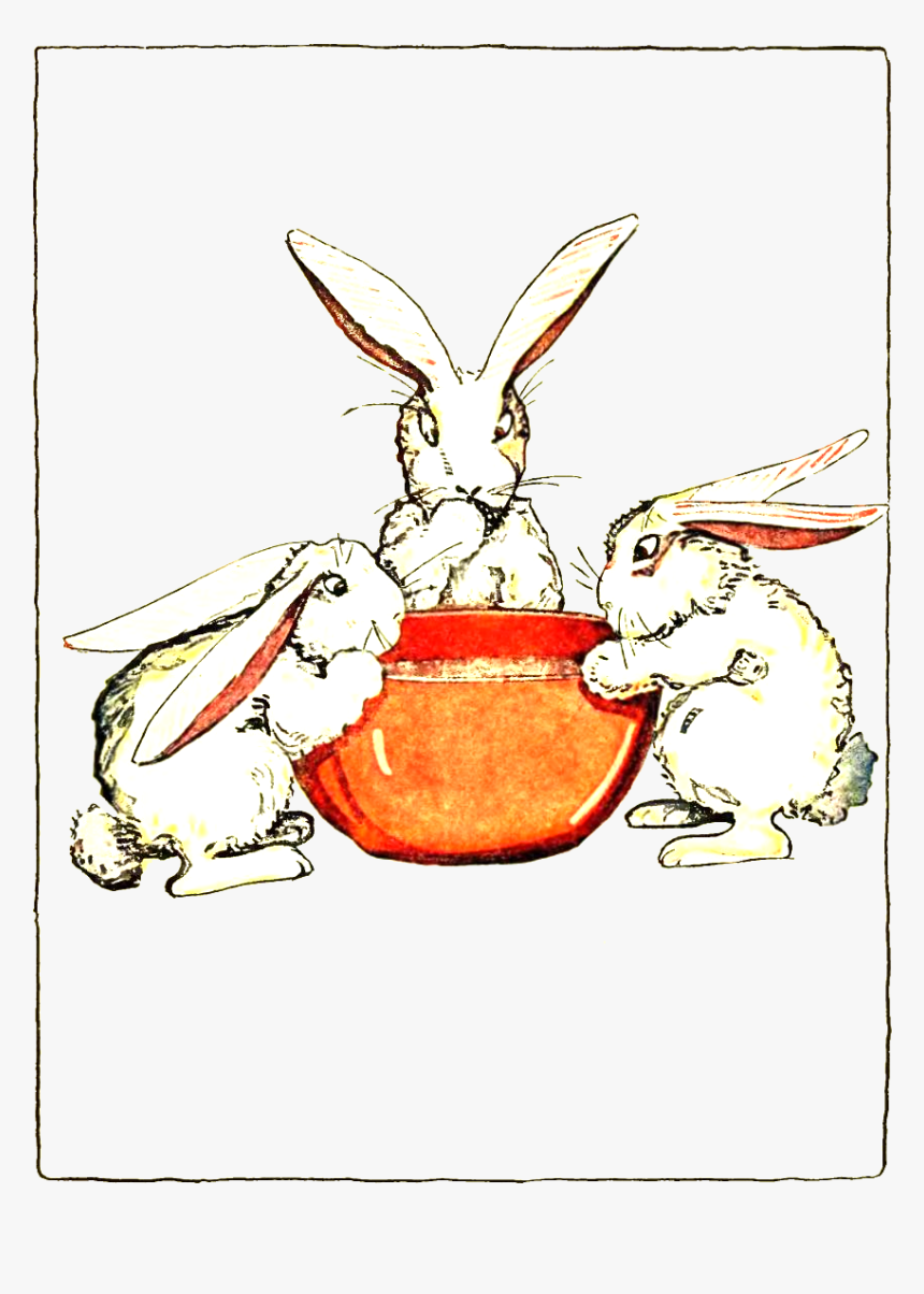 Peter Rabbit Albert 59 - Rabbit, HD Png Download