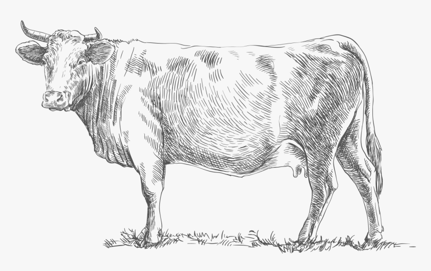Livestock, HD Png Download