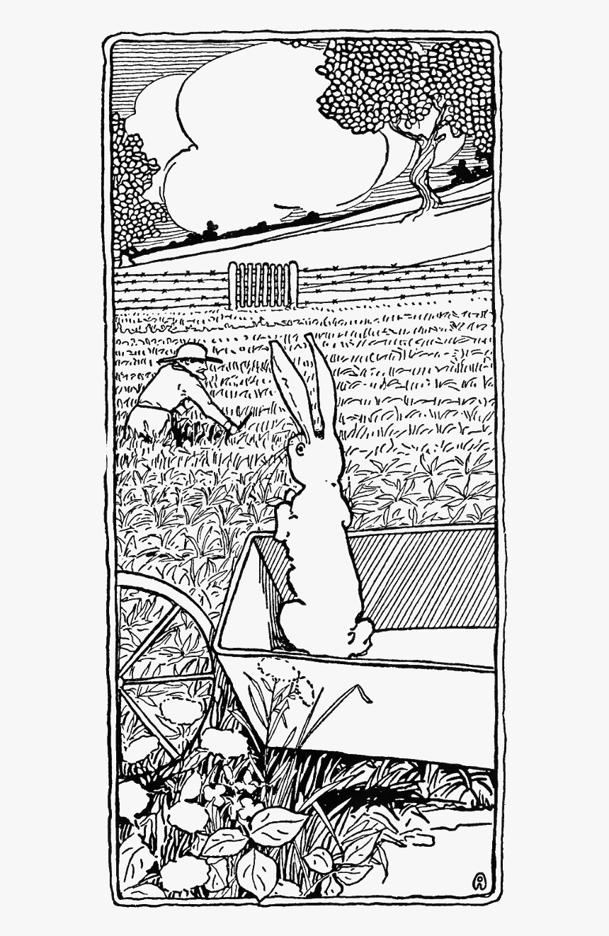 Peter Rabbit Albert 51 - Coloring Book, HD Png Download