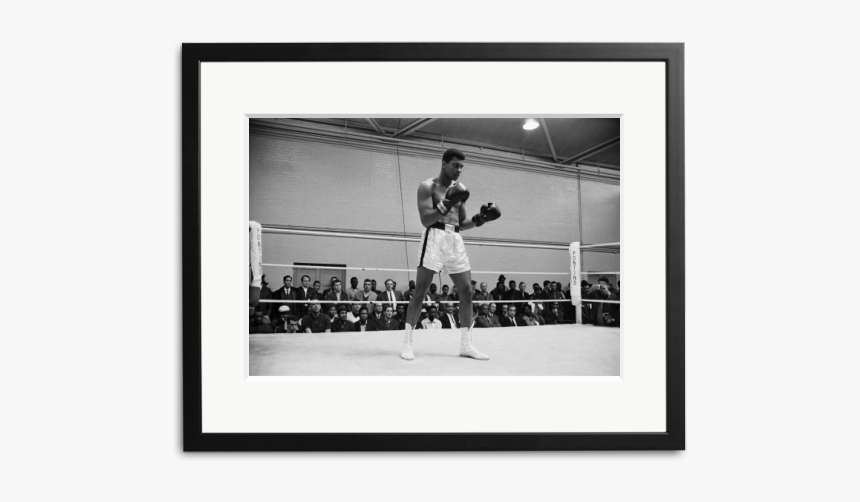 Photograph, HD Png Download