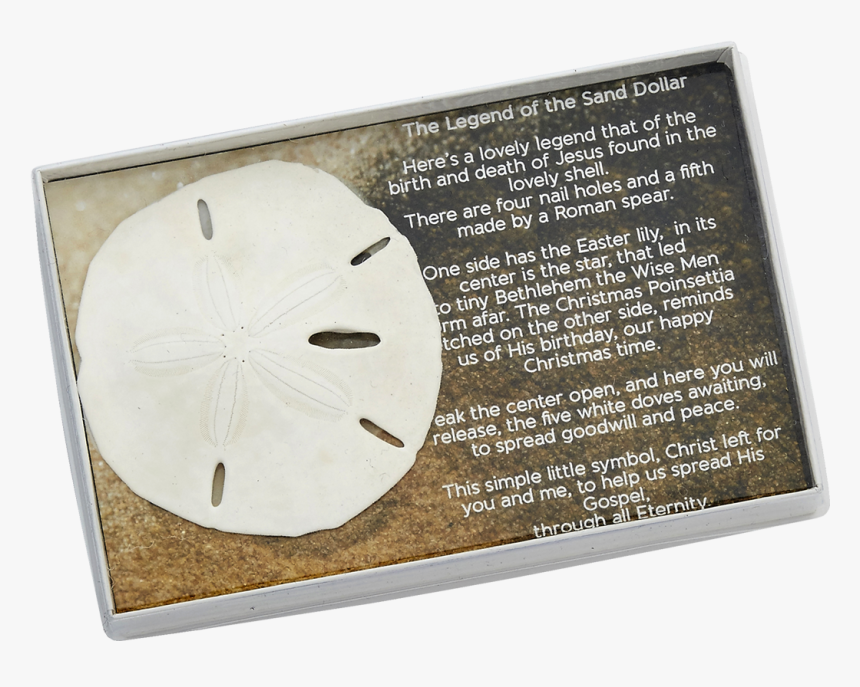 Sand Dollar With Legend-boxed - Sand Dollar, HD Png Download