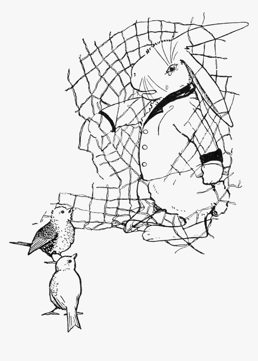 Peter Rabbit Albert 33 - Sketch, HD Png Download