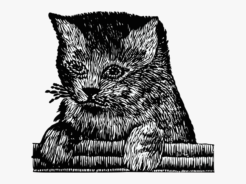 Kitten, Cat, Pet, Cute, Embroidery, Feline - Illustration, HD Png Download