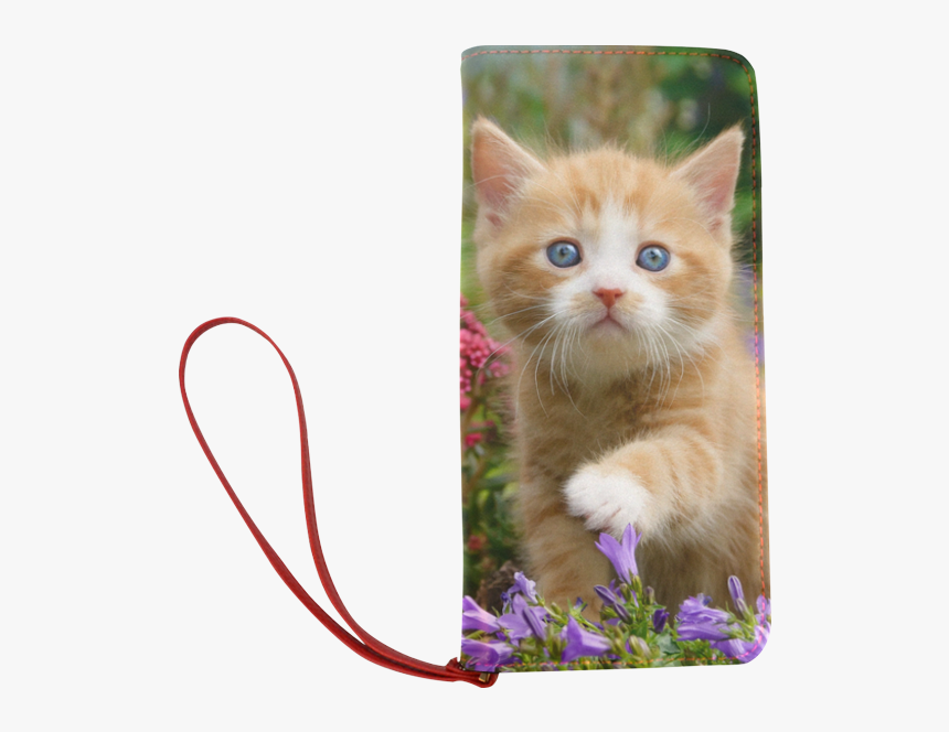 Cute Ginger Kitten Funny Baby Pet Animal In A Garden - Ginger Cute Kitten, HD Png Download