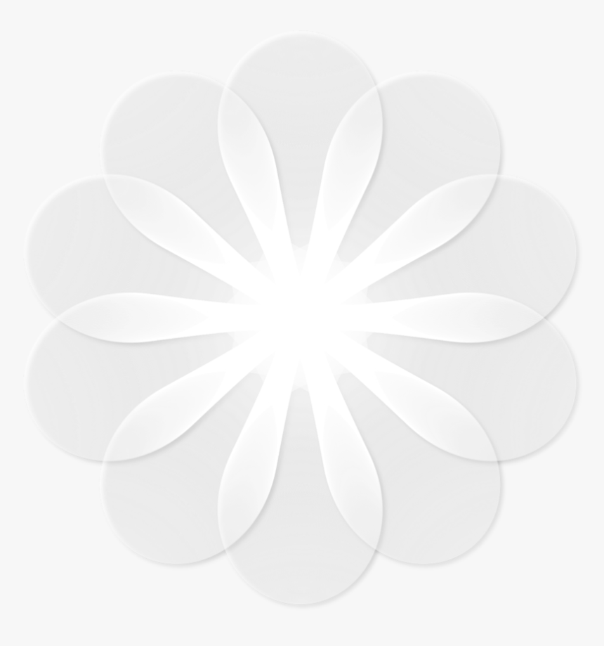 Circle, HD Png Download