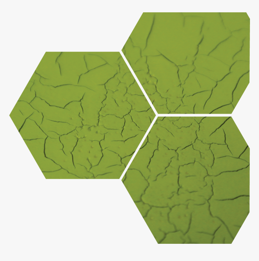 Green Coating Failure - 7 Factors Of User Experience, HD Png Download