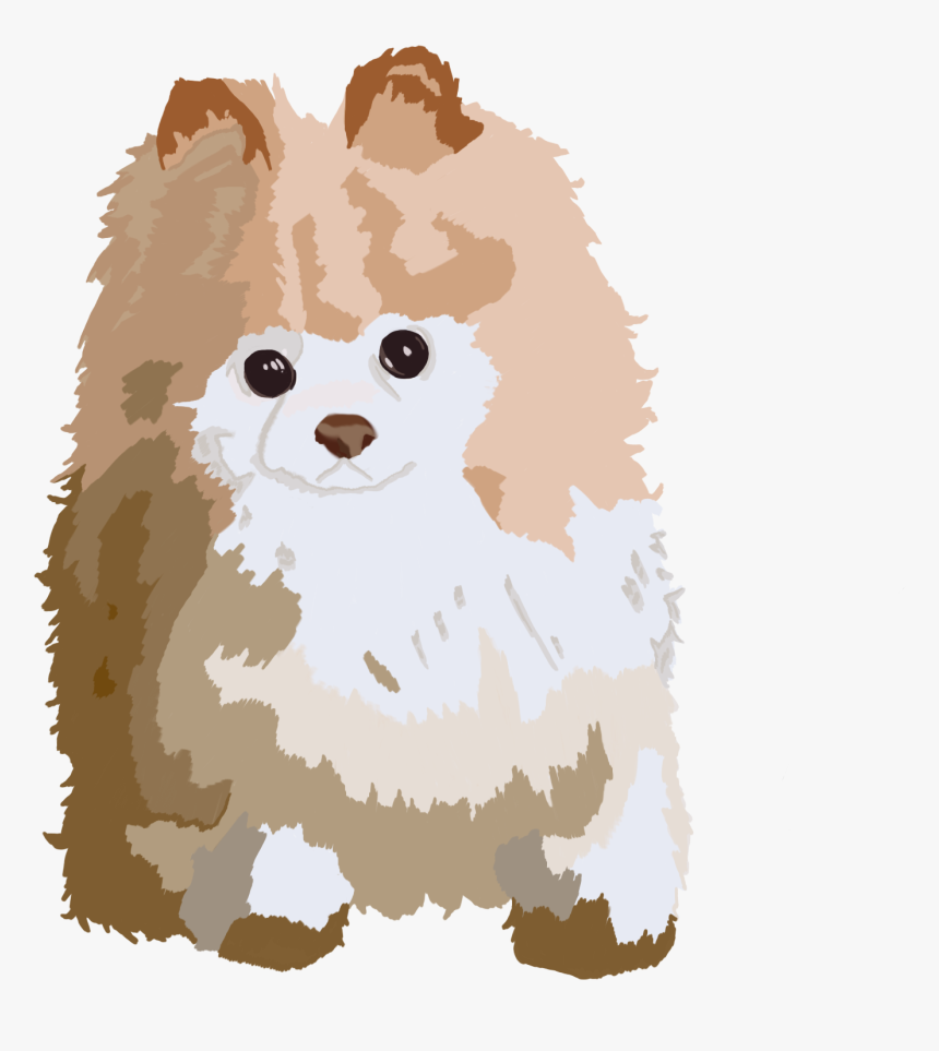 Pomeranian, HD Png Download