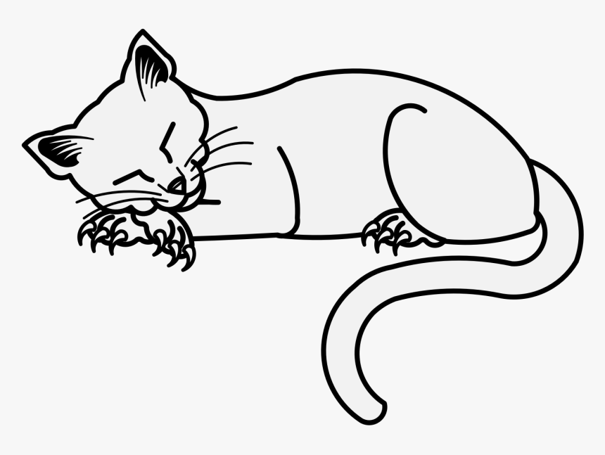 Transparent Cat Nose Png - Cartoon, Png Download