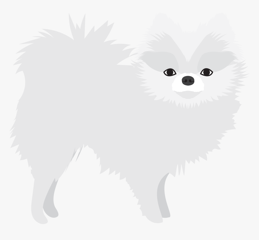 Pomeranian, HD Png Download
