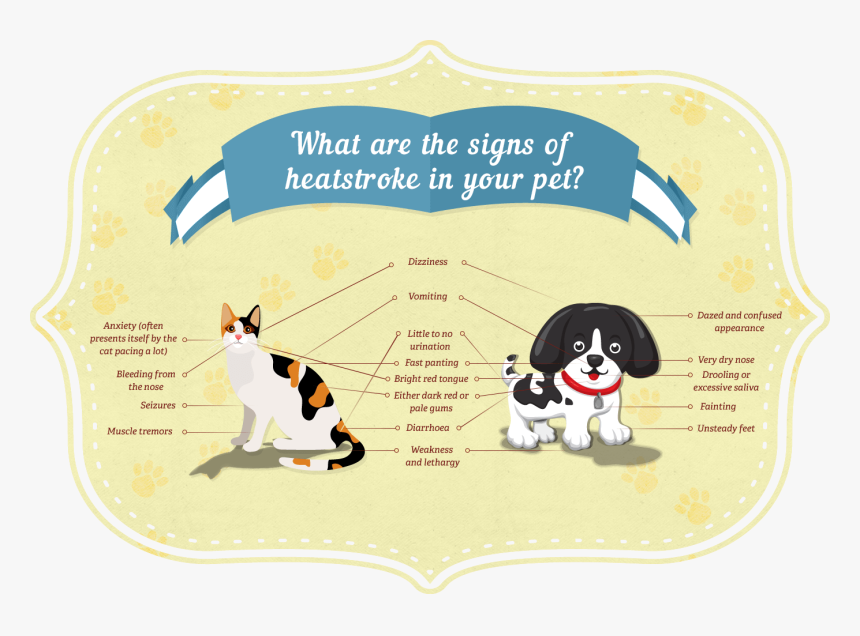 What Are The Signs Of Heatstroke In Your Pet - Heat Stroke Animals, HD Png Download