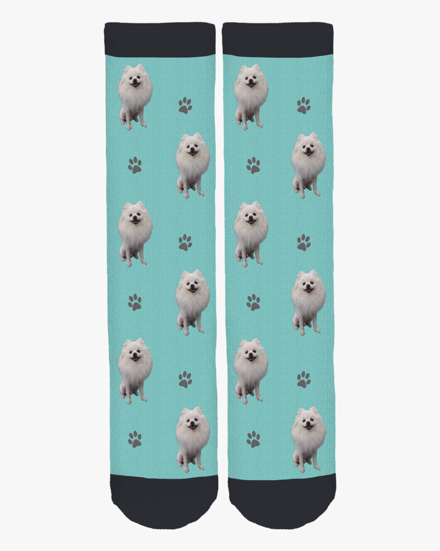 Dr Pimple Popper Merch, HD Png Download