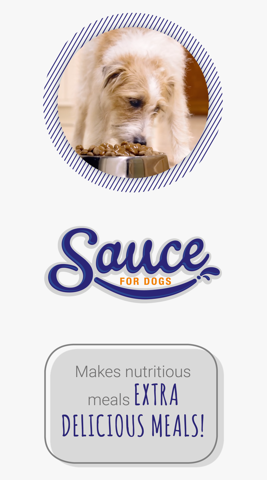 Pomeranian, HD Png Download
