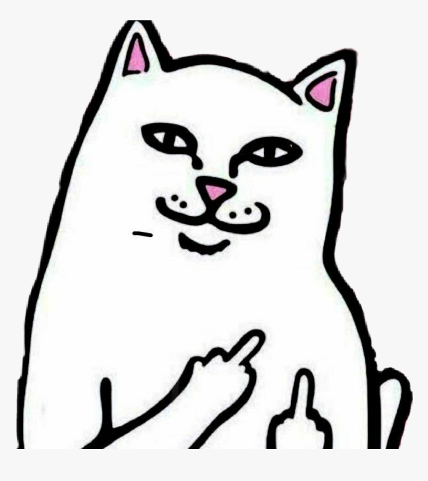 Cat Clipart Ripndip - Funny Cat Transparent Backgrounds, HD Png Download