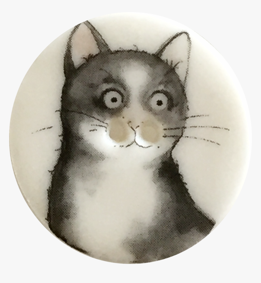Gray Cat With Big Round Eyes, 1-1/8 - Black Cat, HD Png Download