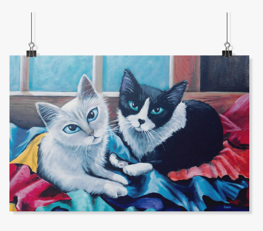 British Shorthair, HD Png Download