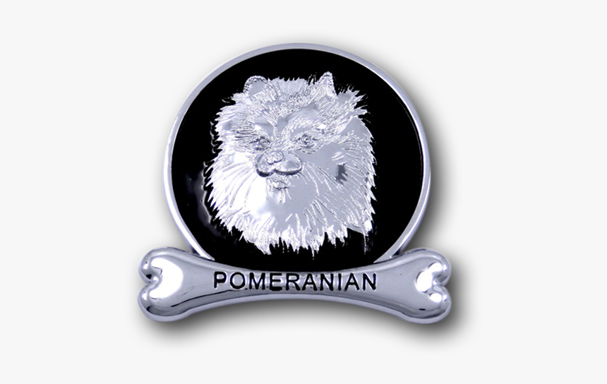 Jaguar, HD Png Download