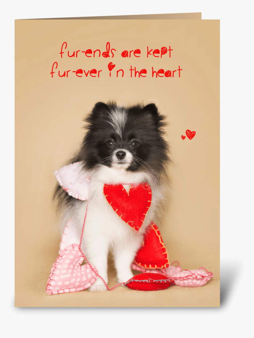 Furends Furever Puppy Hearts Greeting Card - Companion Dog, HD Png Download
