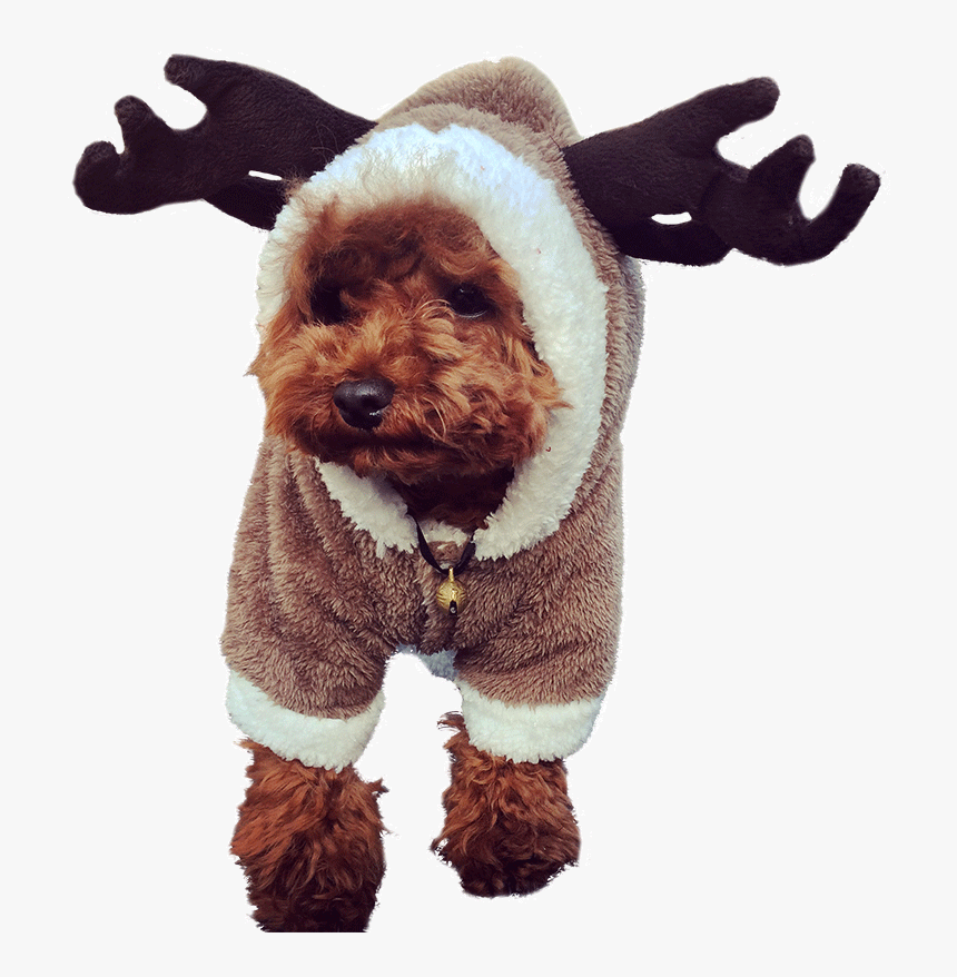 Hua Yuan Winter Clothes Dog Clothes Teddy Puppy Clothes - Disfraces De Perros Navidad, HD Png Download