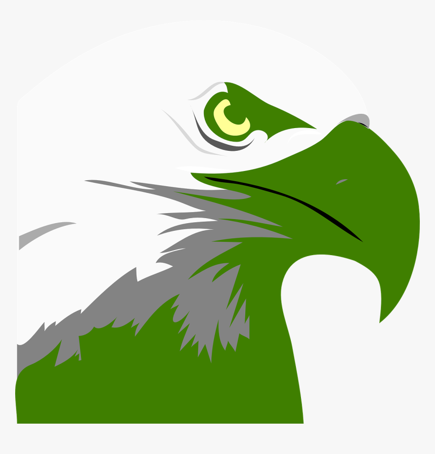 Bald Eagle Clipart, HD Png Download