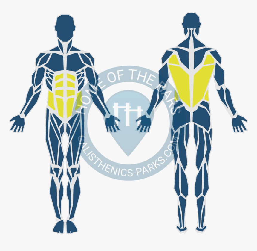 Push-up, HD Png Download