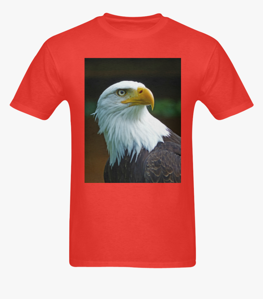 Bald Eagle Head 002 06 Sunny Men S T- Shirt - Bald Eagle, HD Png Download