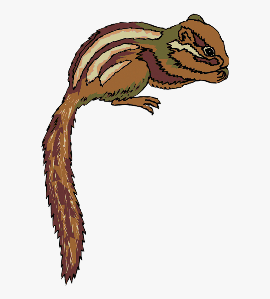 Chipmunk, HD Png Download