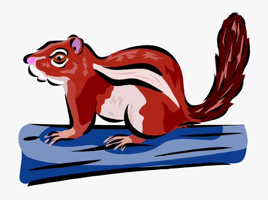 Transparent Squirrel Clipart Png, Png Download
