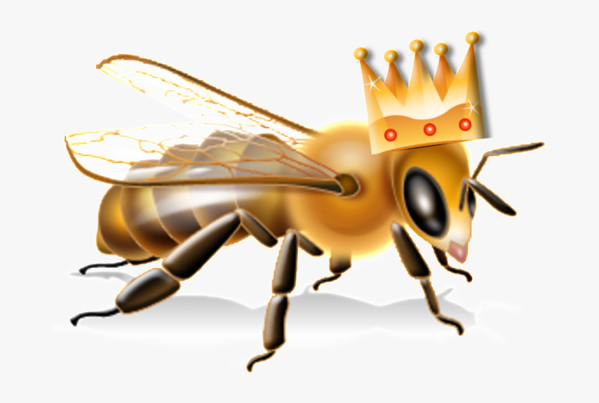 Epa Bee Advisory Box - Bee Hazard Pesticide Label, HD Png Download