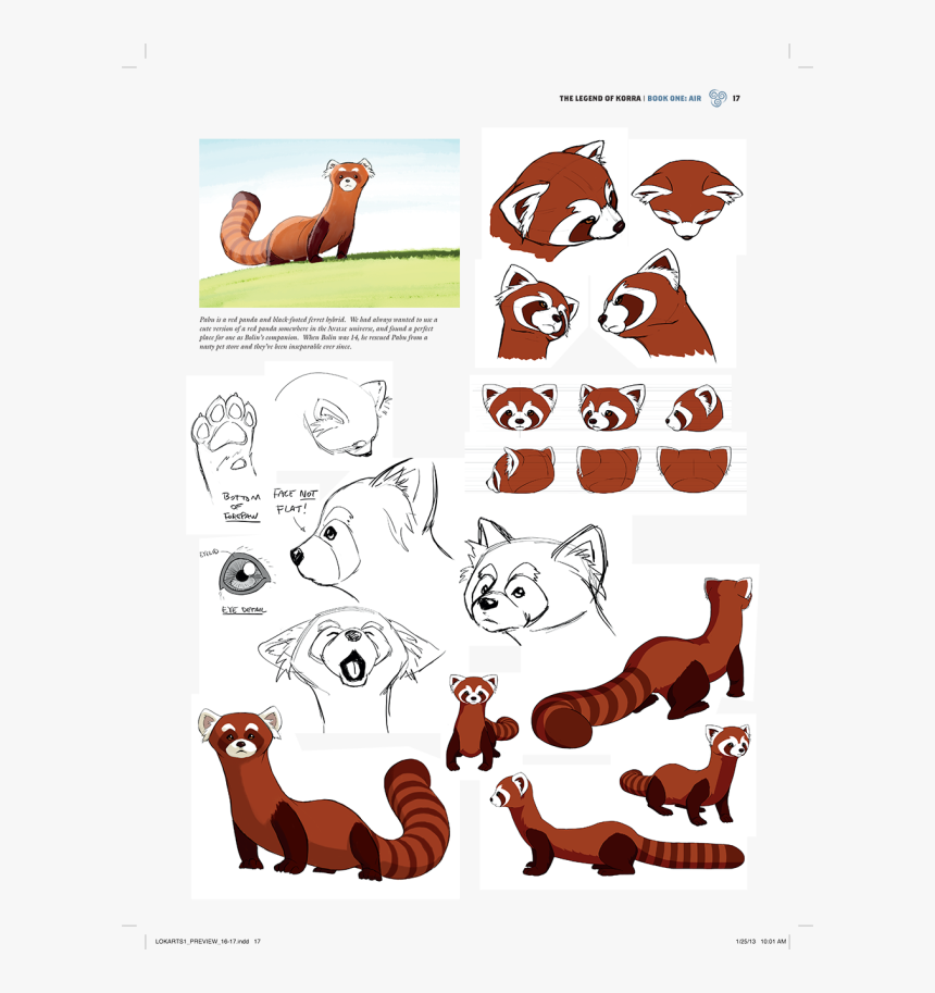 Black Footed Red Panda Ferret, HD Png Download