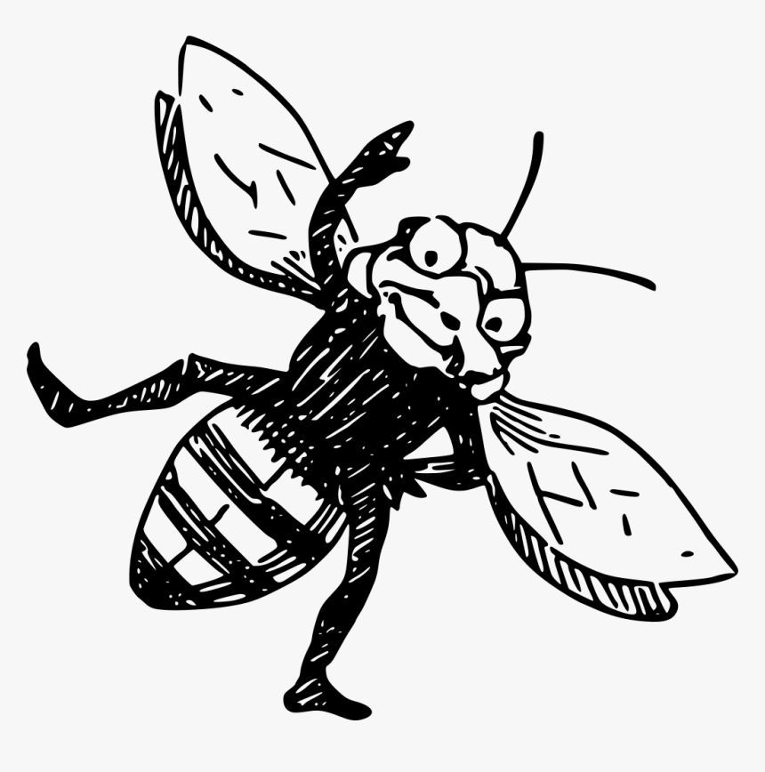 Art,monochrome Photography,artwork - Bee, HD Png Download
