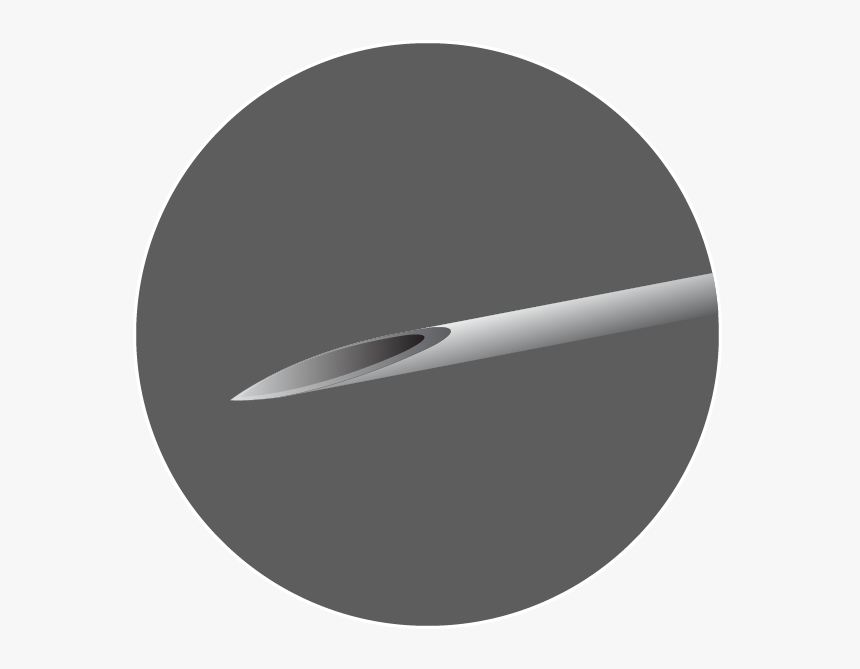 Circle, HD Png Download