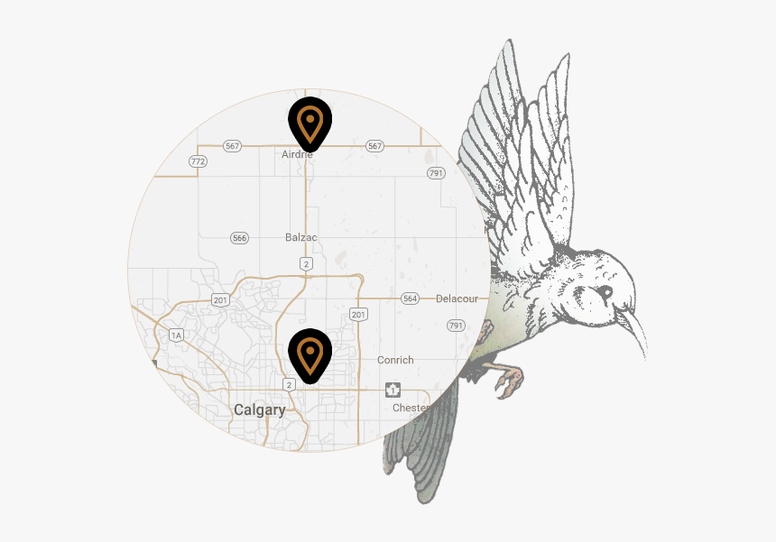 Circle, HD Png Download