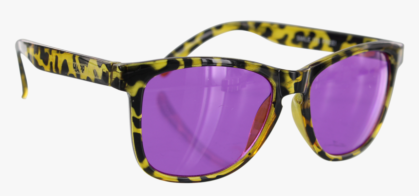 Still Life Photography, HD Png Download