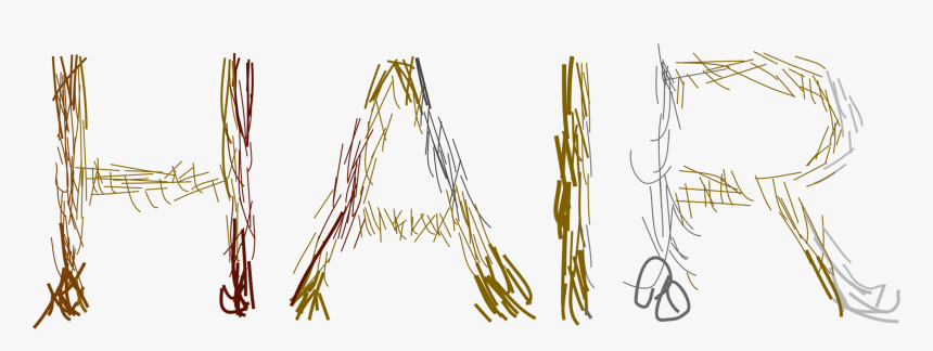 Grass Family,twig,angle - Plot, HD Png Download