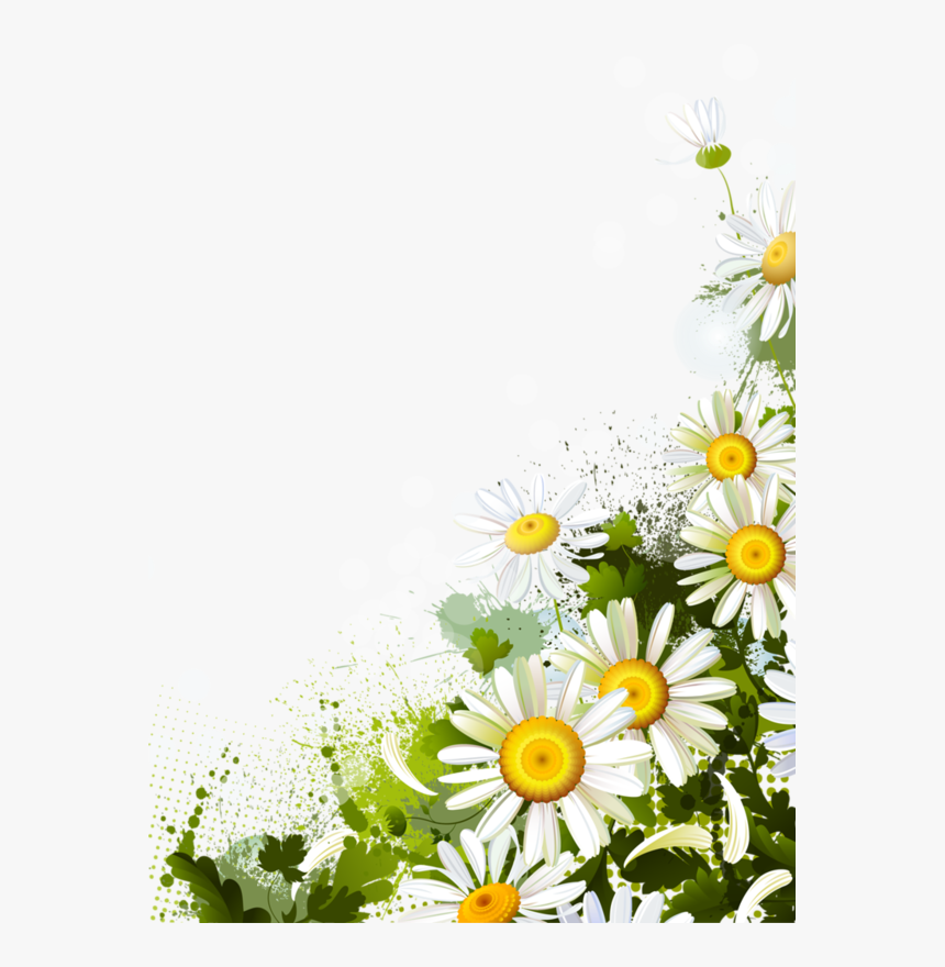 1 Kb, New - Imagenes Png De Flores Margaritas, Transparent Png