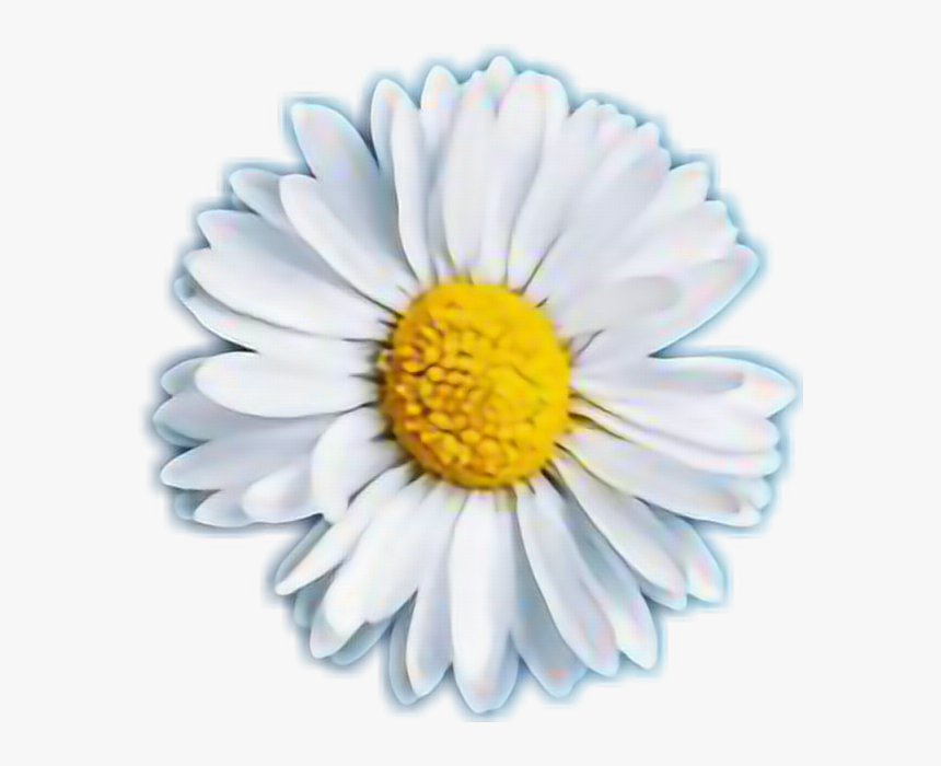 Clip Art Sticker By Dayan Iyali - Sticker Margarita, HD Png Download