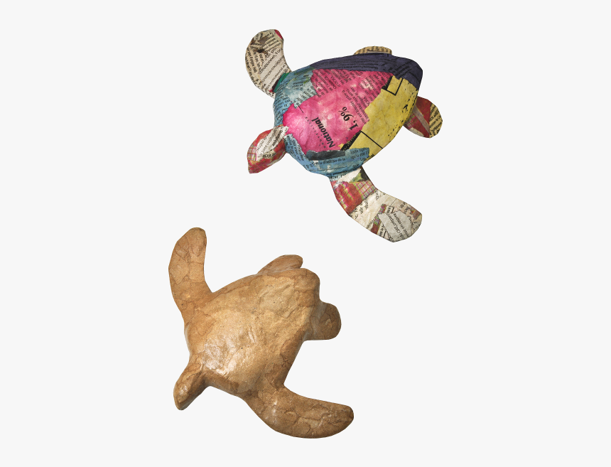 Hawksbill Sea Turtle, HD Png Download