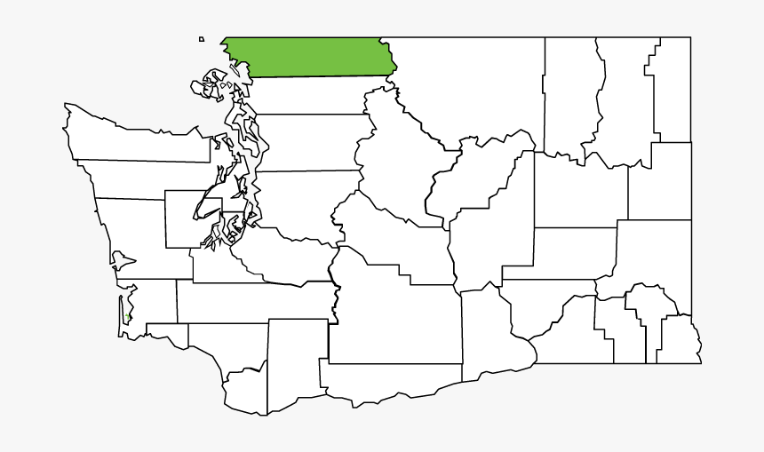 Washington State Transparent Icon , Png Download - Puget Sound Native Tribes, Png Download