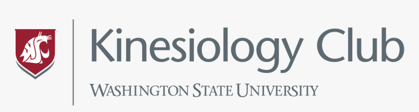 Graphics, HD Png Download