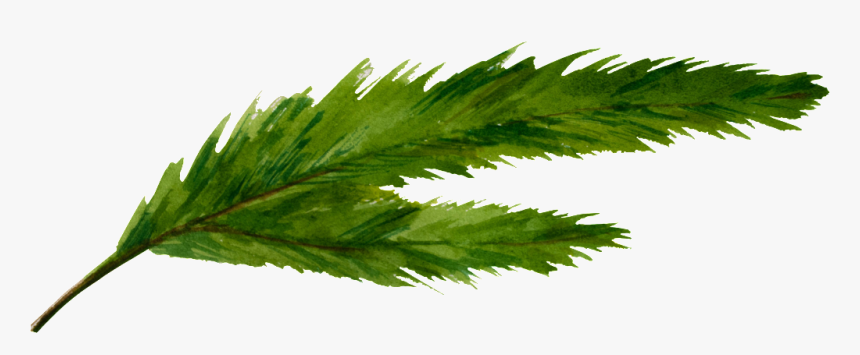 Un Green Split Leaf Png Transparente - Cannabis, Png Download