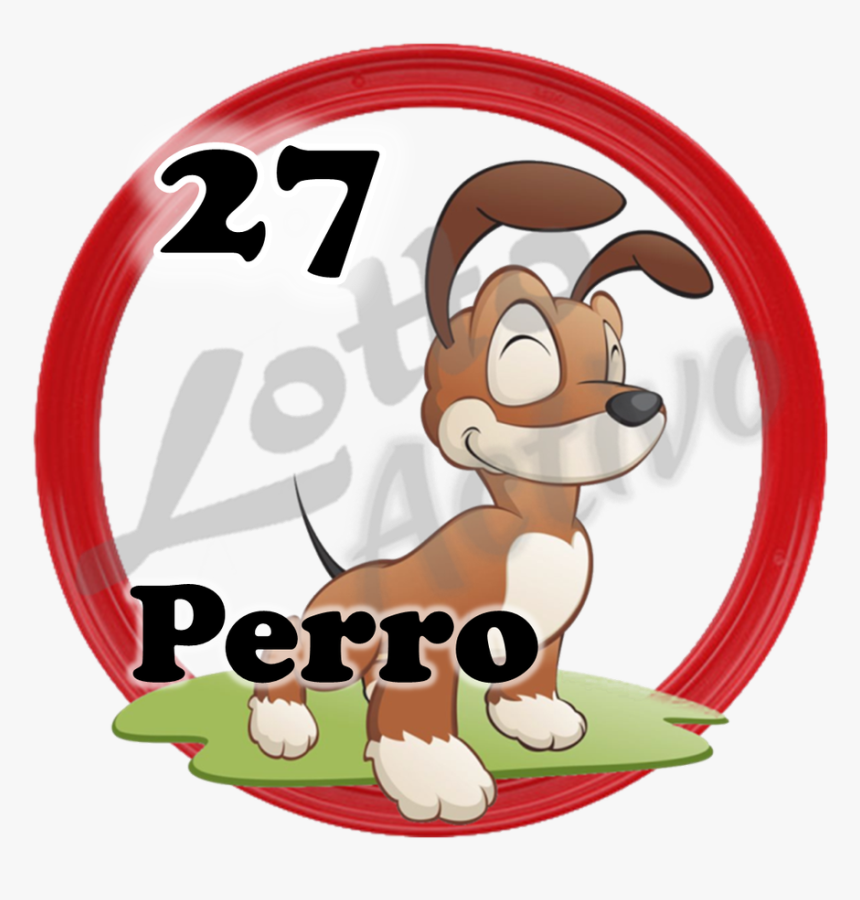 Perro Lotto Activo, HD Png Download