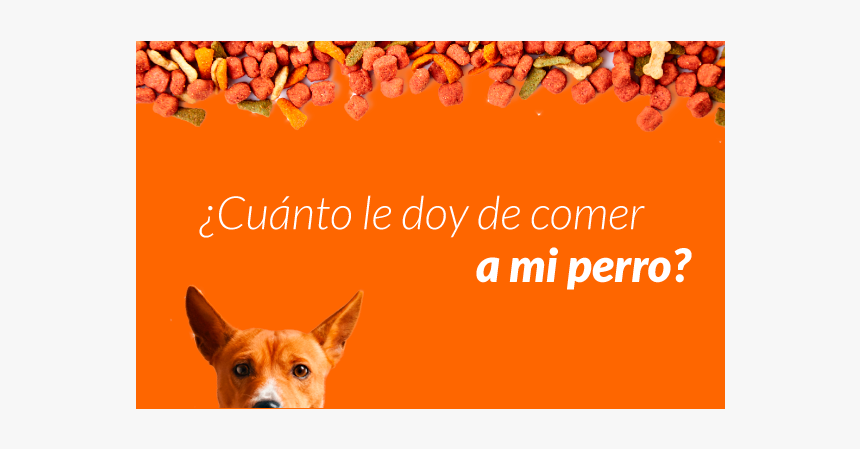 Cuerpo Bloque Blog Perro Autoenvio Lp - Basenji, HD Png Download