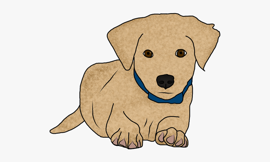 Dachshund, HD Png Download