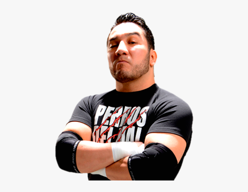 Hijo Del Perro Aguayo - Perro Aguayo Png, Transparent Png