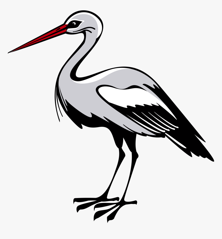 Stork Png, Transparent Png